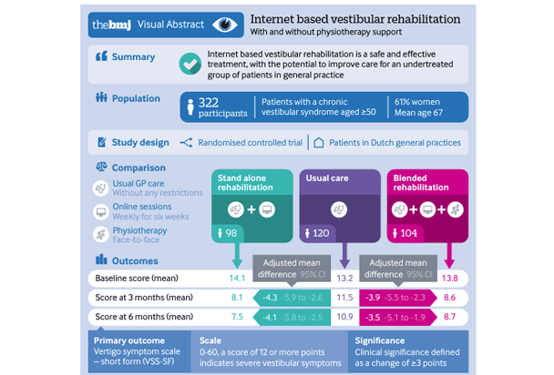 Internet based vestibular rehabilitation with and without physiotherapy ...