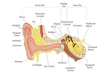 causes-ear-canal